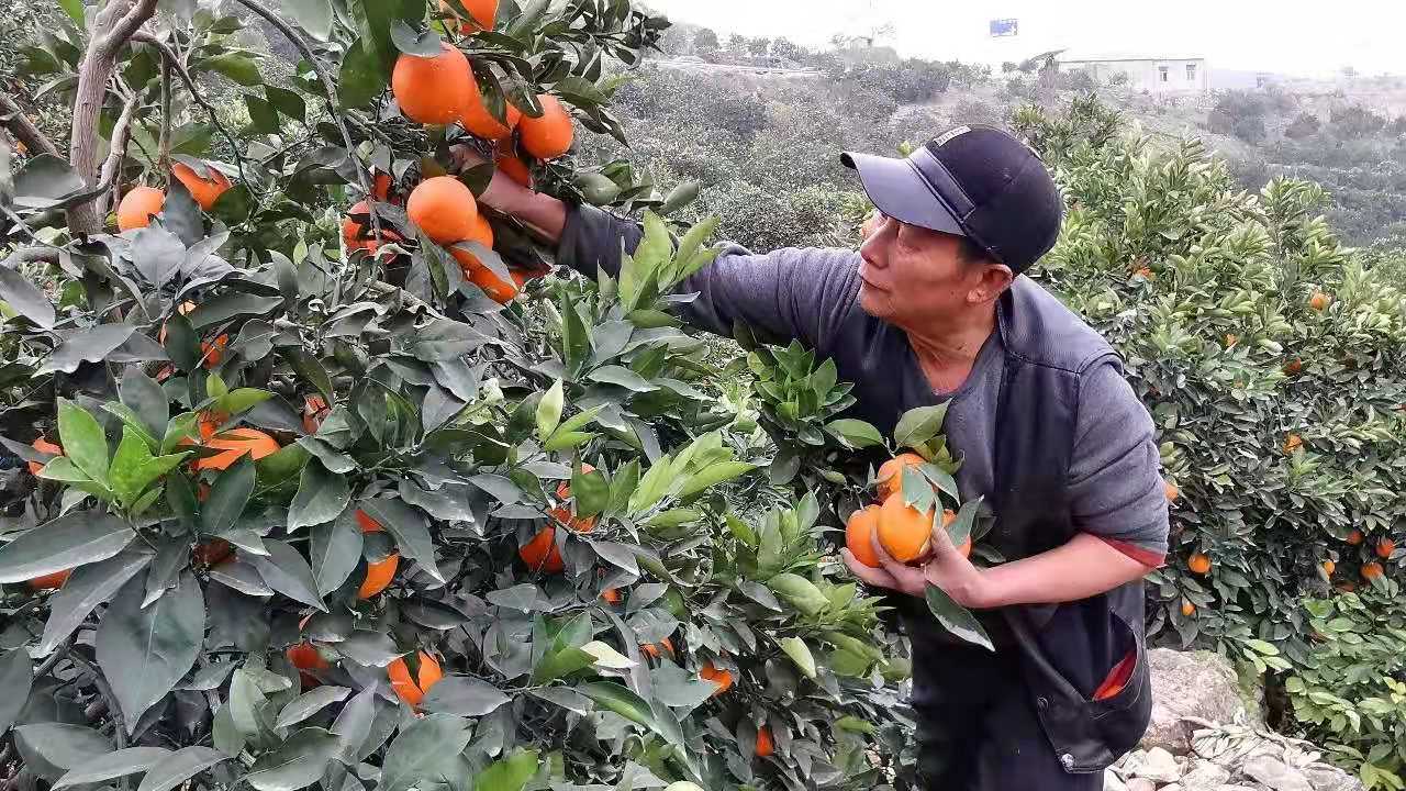 918博天堂官网·btt(中国)官方旗舰厅入口